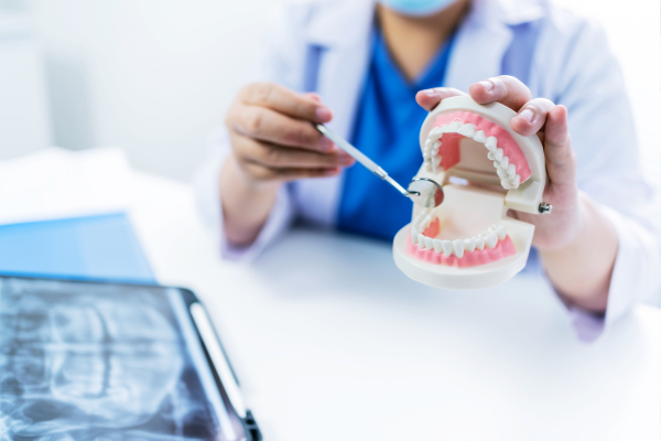 ※画像はイメージです