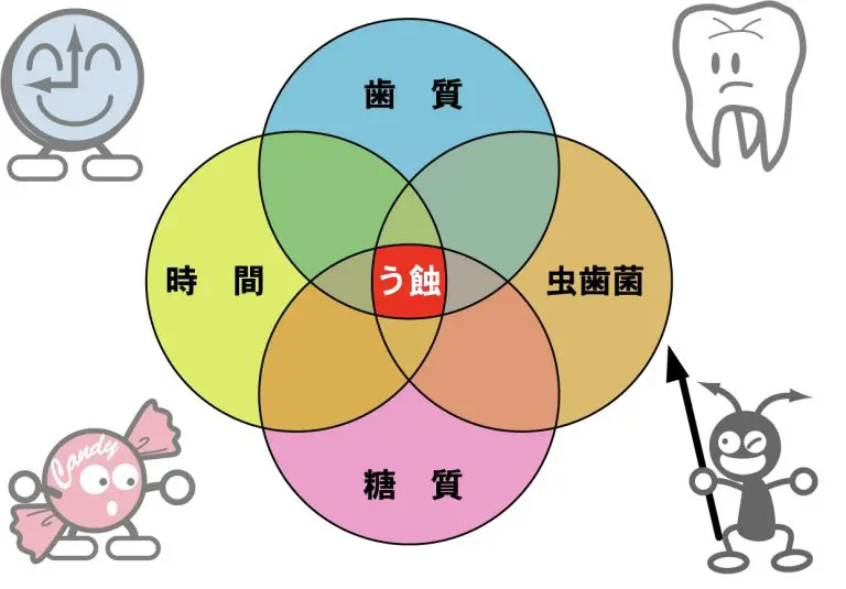 歯をなるべく削らない負担の少ない治療を行っています