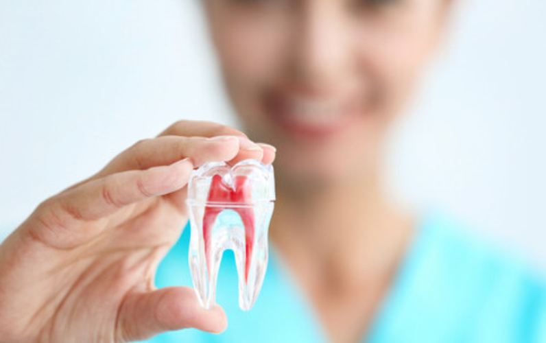 歯周病専門医による科学的根拠に基づいた治療と継続的なケアで健康を維持