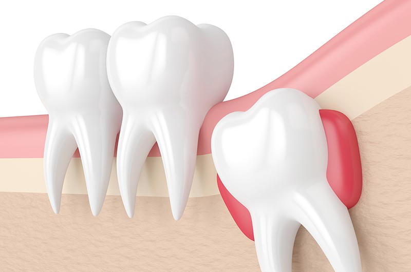 ※画像はイメージです。