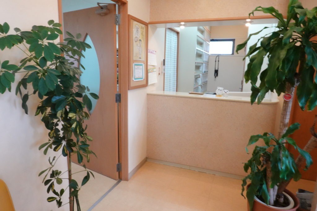 【ゆいレール儀保駅 東口 徒歩3分・駐車場完備】歯をできる限り残す治療を軸に、将来を見据えた診療を行う RIO歯科クリニック