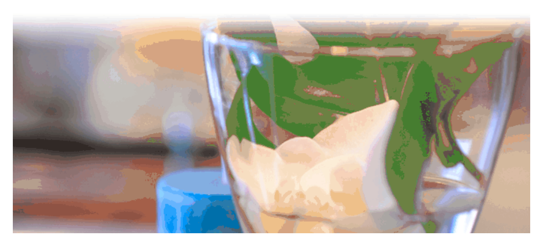 患者様が安心して治療を受けられる環境づくりを大切にしています