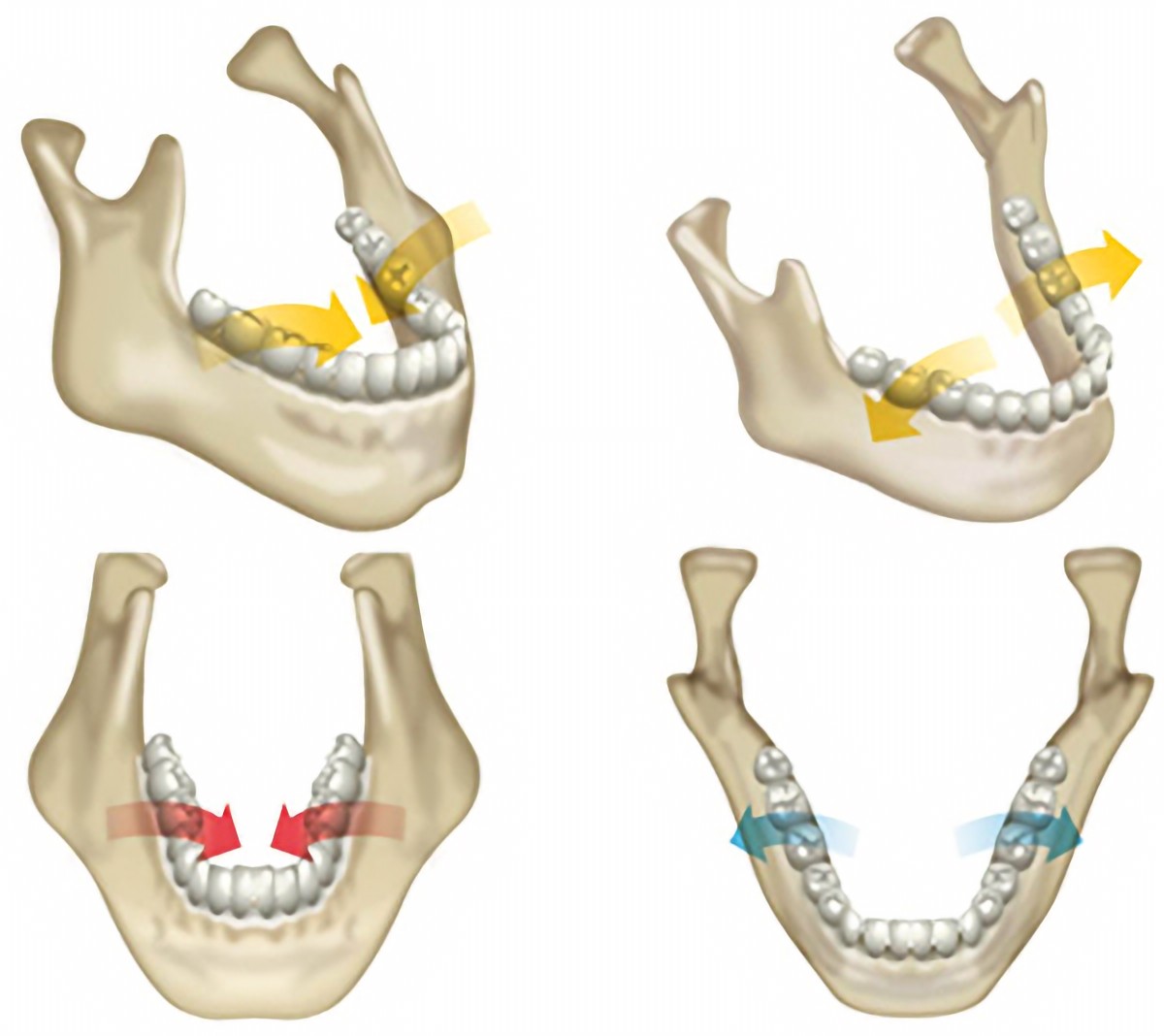 歯並びよりも大切なことがあります