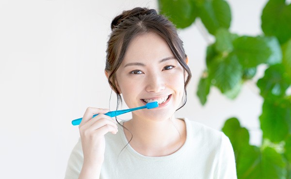 効果的な手入れ方法をアドバイス