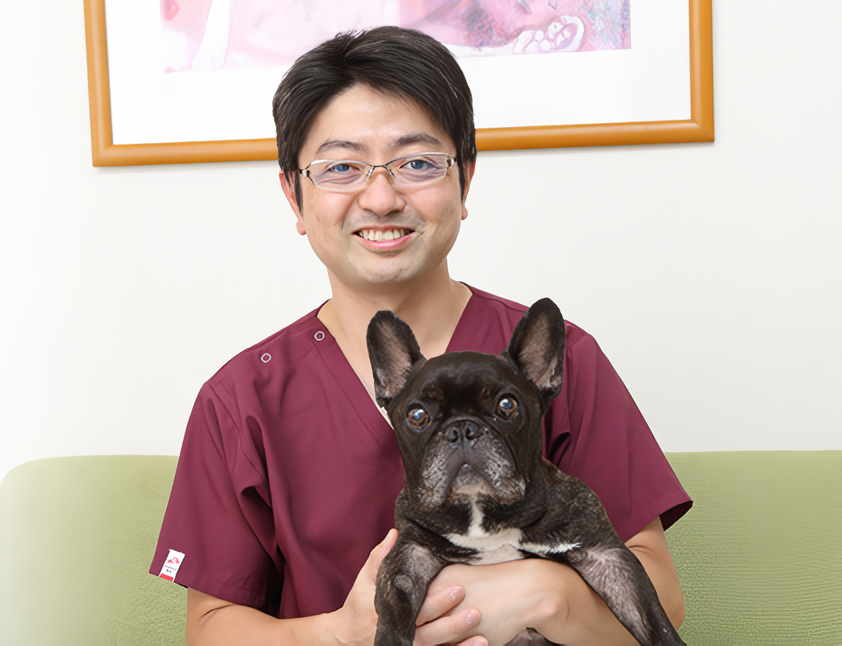 エルビウムヤグレーザーによる効果的な殺菌と歯石除去で歯周病を予防