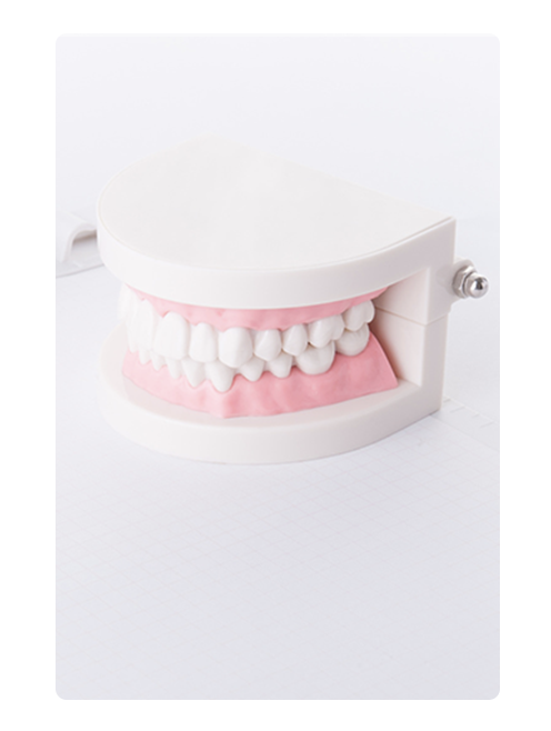 日本顎咬合学会認定医が在籍し、患者様一人ひとりの状態に合わせた丁寧な診療を行っています