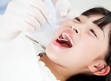 ※画像はイメージです。