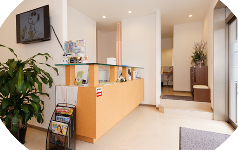 【日曜の診療に対応】【19時までの診療に対応】お口の健康を通じて患者様の全身の健康に貢献することを目指すそがさくら歯科