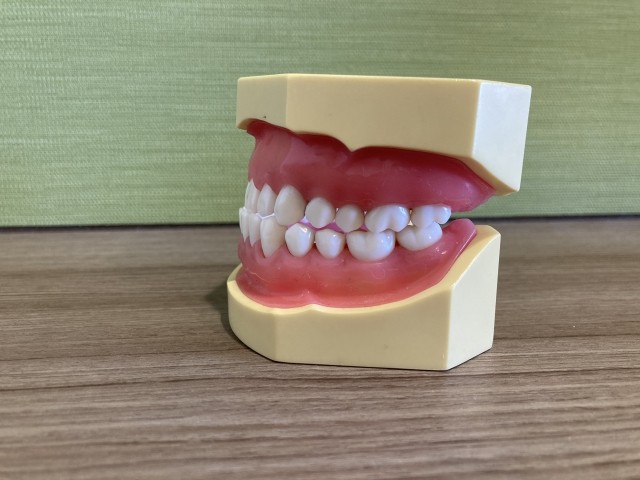 写真はイメージです