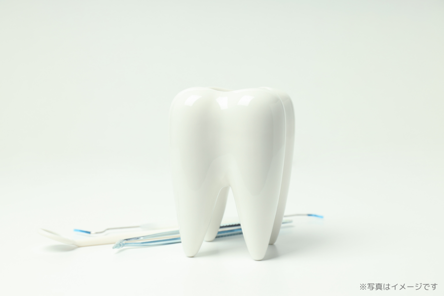 【東加古川駅徒歩10分】歯周病ケアと矯正相談に対応するモリタ歯科