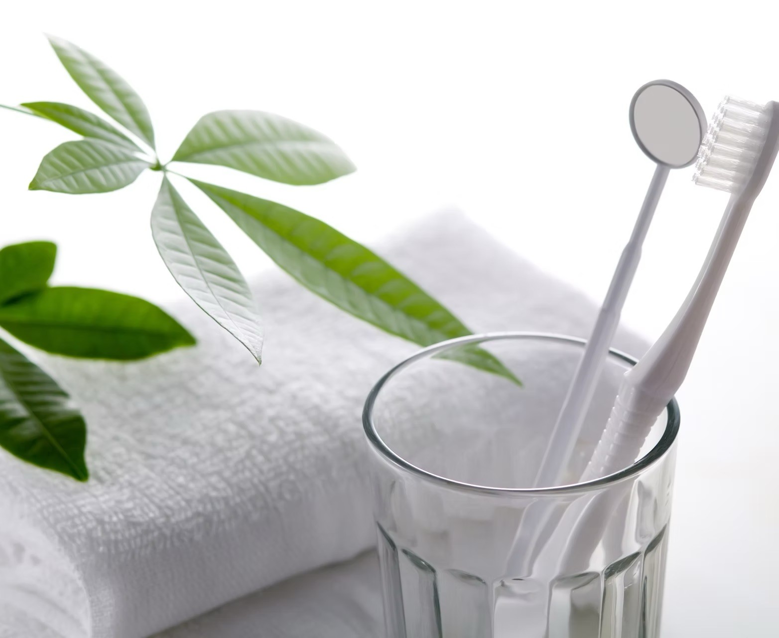 定期検診をおすすめします