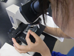 CTによる三次元解析で、難症例にも対応する診療体制