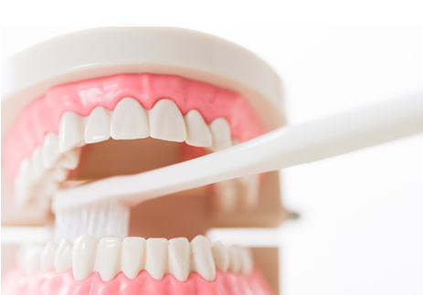 むし歯の早期発見・早期治療を心がけ、最適な治療方法をご提案しています。