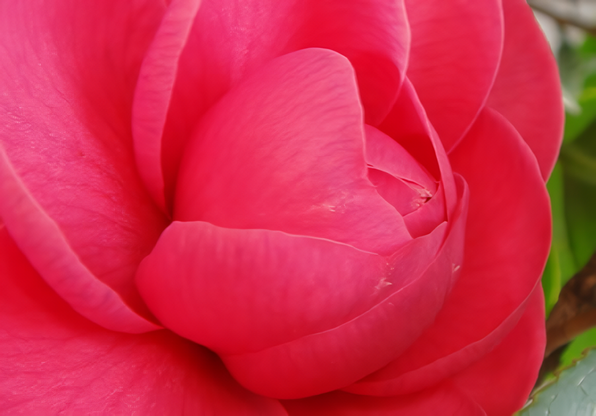 単に虫歯を治療するだけでなく、お子様の健やかな成長をサポートしています