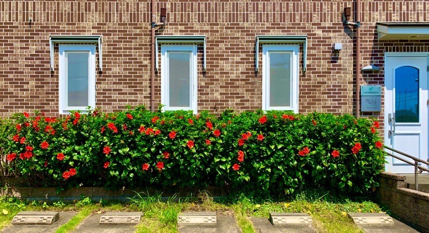 【安倍川駅 西口 徒歩7分・駐車場完備】予防を重視した地域密着のグリーンデンタルクリニック