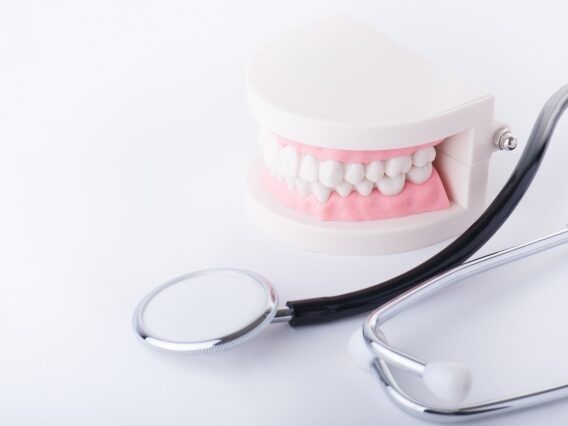 定期的なプロによるメンテナンスを受けましょう