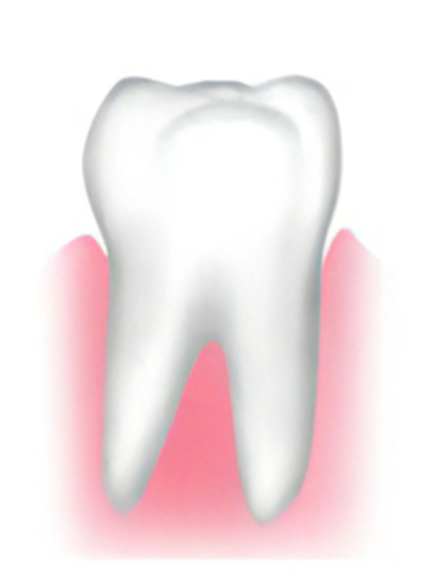 健康な歯を維持しよう