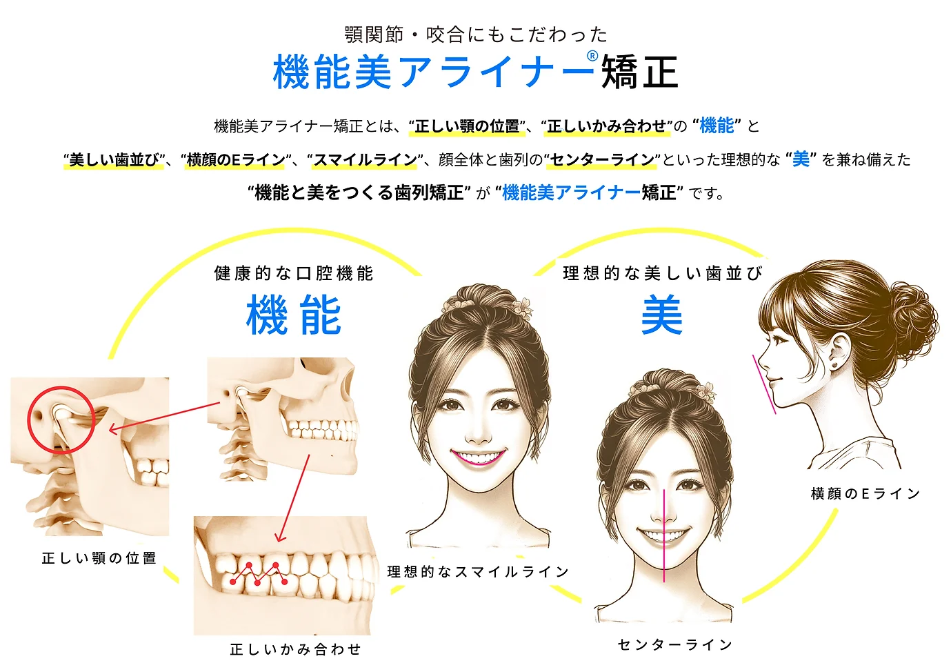 矯正治療を通じて、患者様が快適で健康な生活を送れるようサポートしています