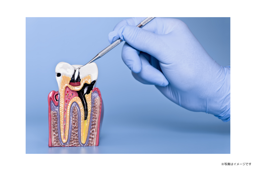 【リハビリ熊本回生会病院前バス停から徒歩1分】専門性を活かした診療で、口腔の健康を長期的に支えるありむら歯科医院