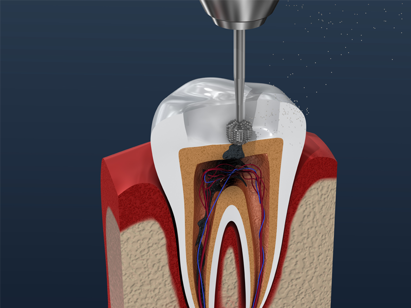 ※画像はイメージです。