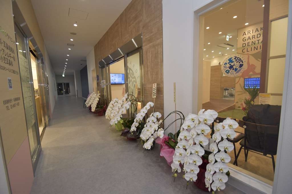 インプラント治療は生存率で選んでください。有明ガーデン歯科クリニックでは日本口腔インプラント学会専門医がインプラント治療を行います