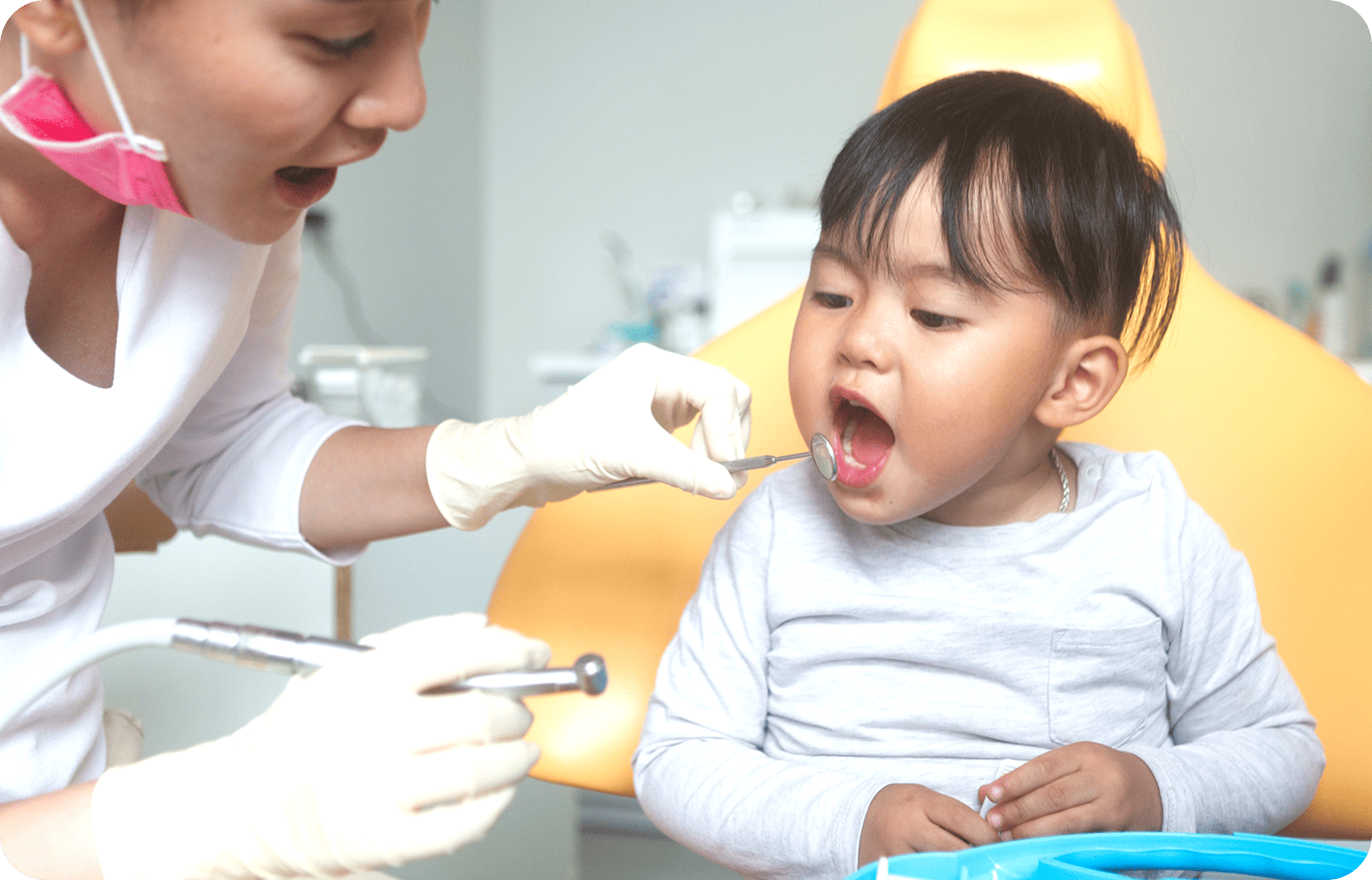 日常のケアから専門的なクリーニングまで継続的なサポートを提供しています