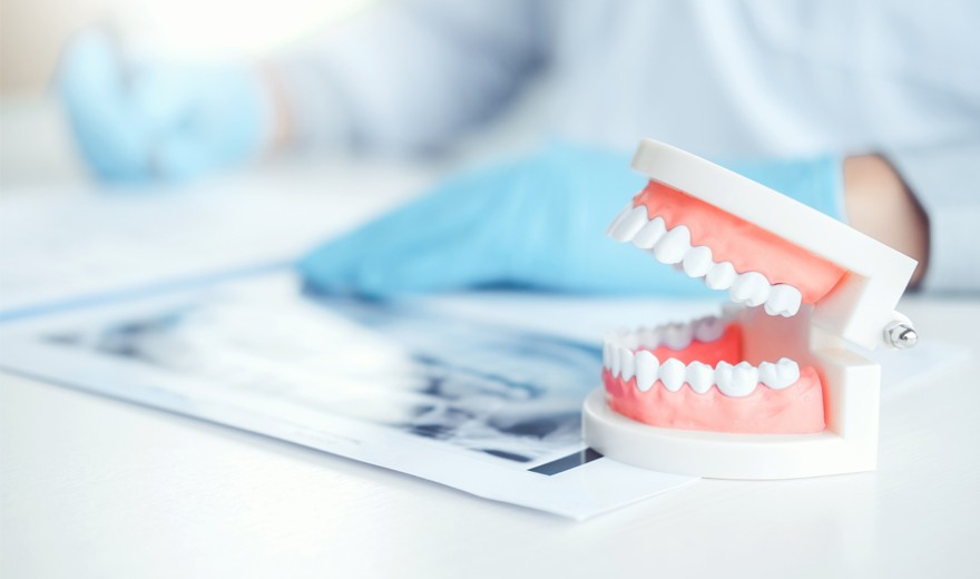 ※画像はイメージです。