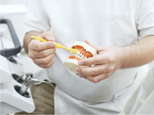 予防ケアを中心とした取り組みを重視し、健康な永久歯への移行をサポートしています