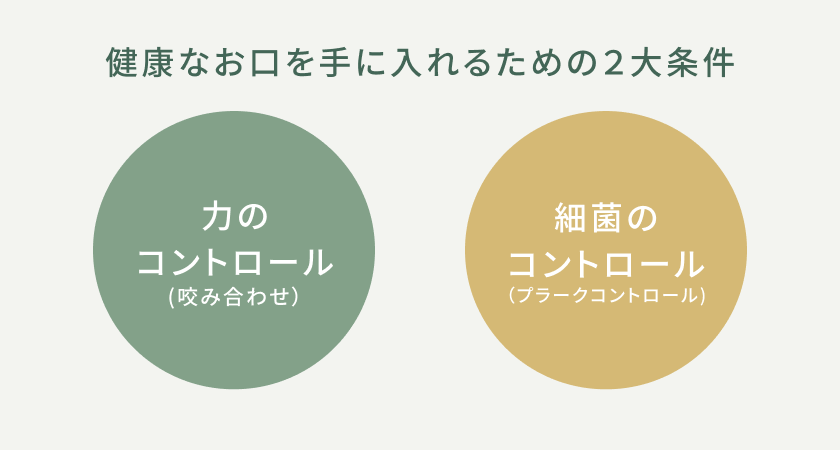 たんぽぽ歯科クリニックの予防プログラム