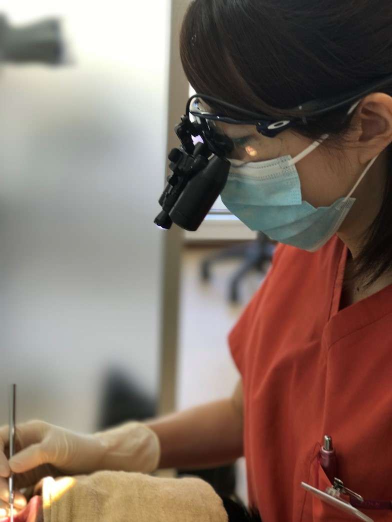 歯科衛生士が高倍率の拡大鏡を使用し診療にあたっております