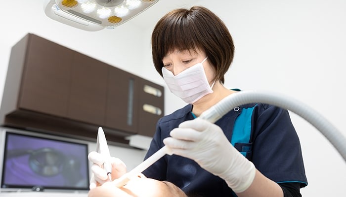 定期的なプロによるメンテナンスを受けましょう