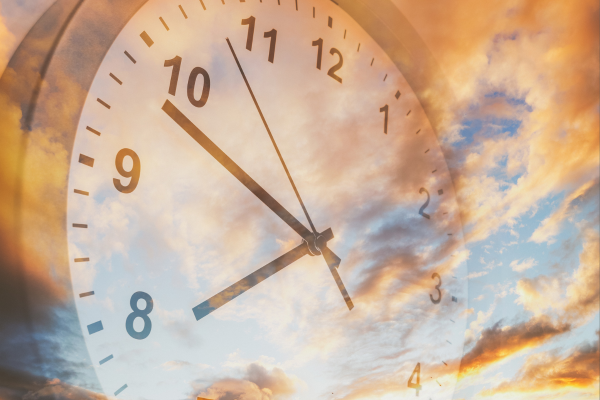 ※画像はイメージです