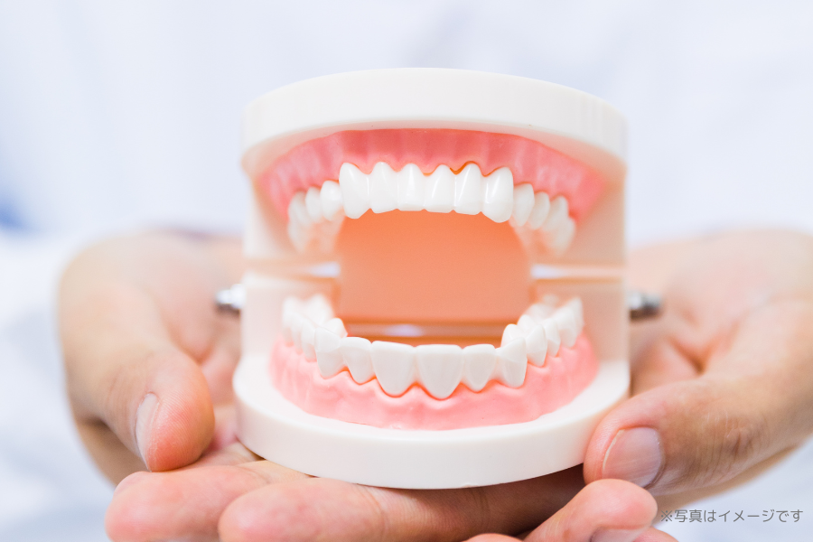 歯だけでなく、口腔全体を包括的に診療しています