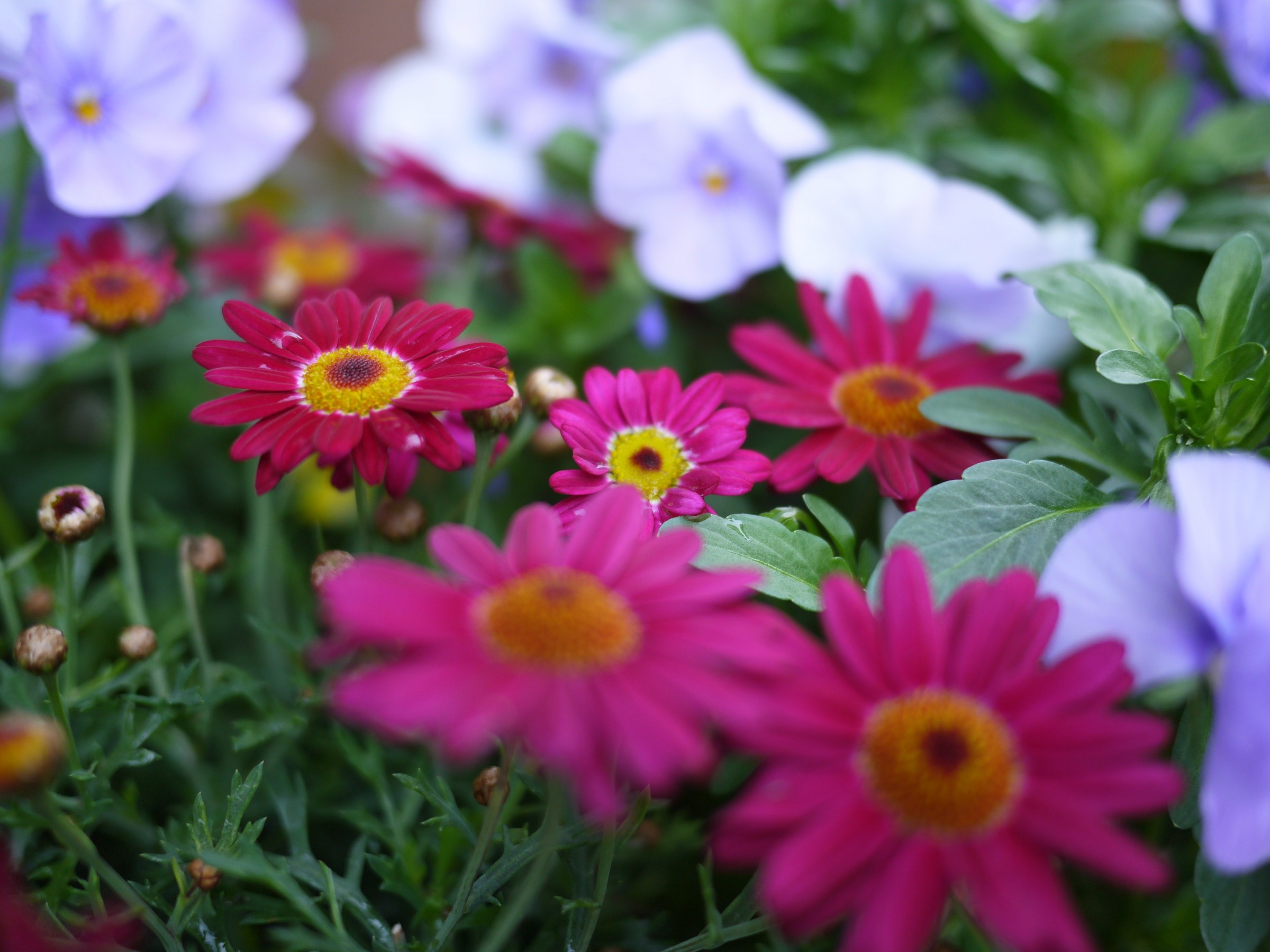 ながた歯科医院