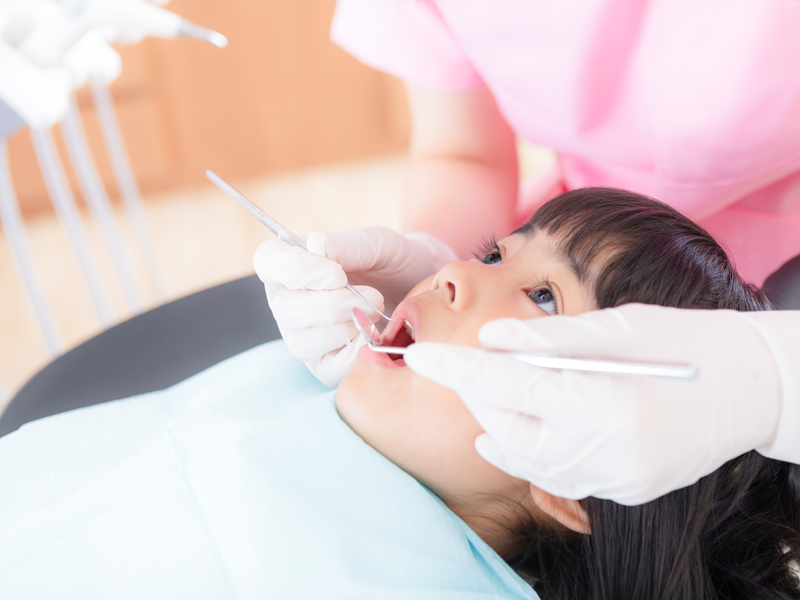 ※画像はイメージです。