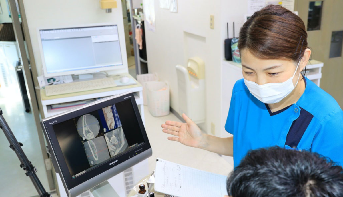 わかりやすい説明