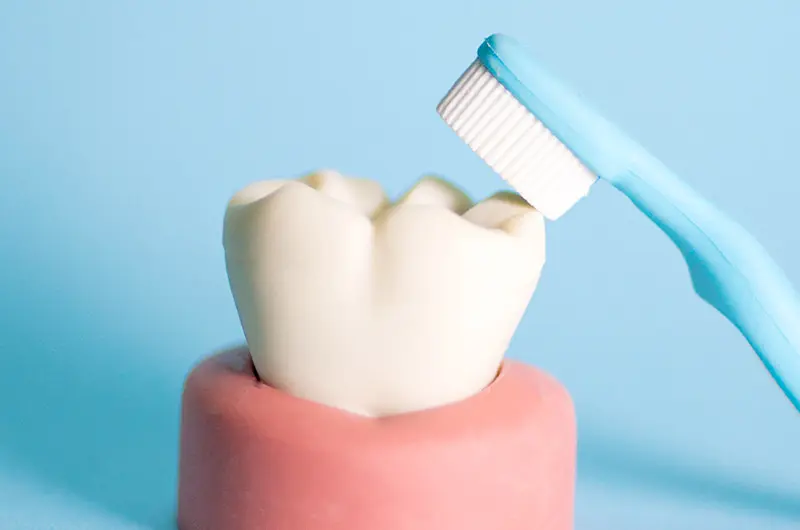 拡大鏡やマイクロスコープを用いて細部まで確認しています