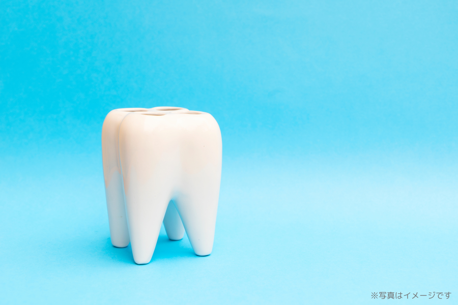 【西宮北口駅徒歩6分】矯正認定医による専門的な診療と小児歯科に強いなかつじ矯正・小児歯科