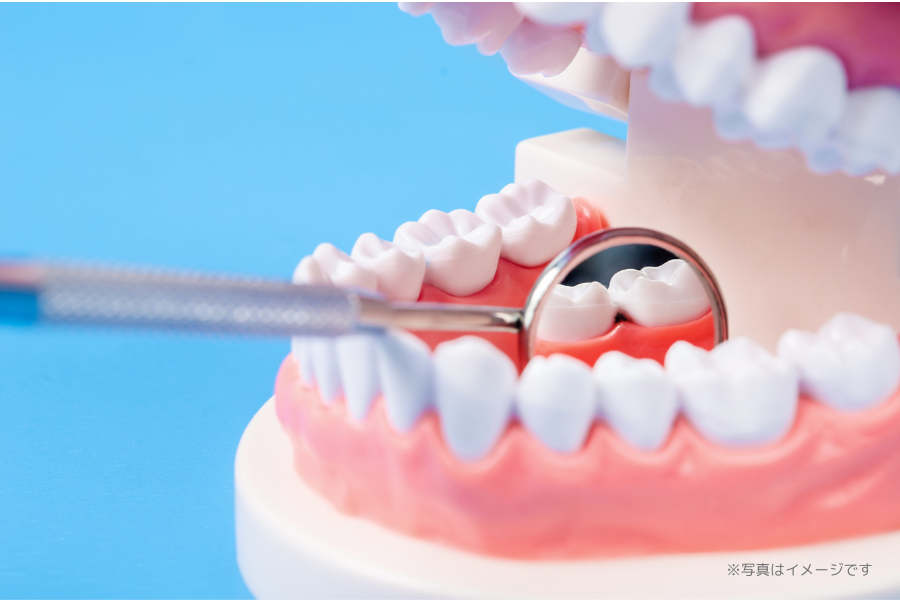 【国安天満神社バス停徒歩3分】痛みに配慮し丁寧な説明を行う坂東歯科医院