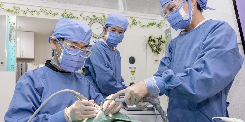 骨に結合しやすい設計を採用しています