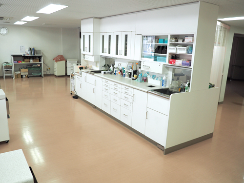 【松島海岸駅 徒歩10分】医科併設で全身を支える地域密着の松島海岸診療所