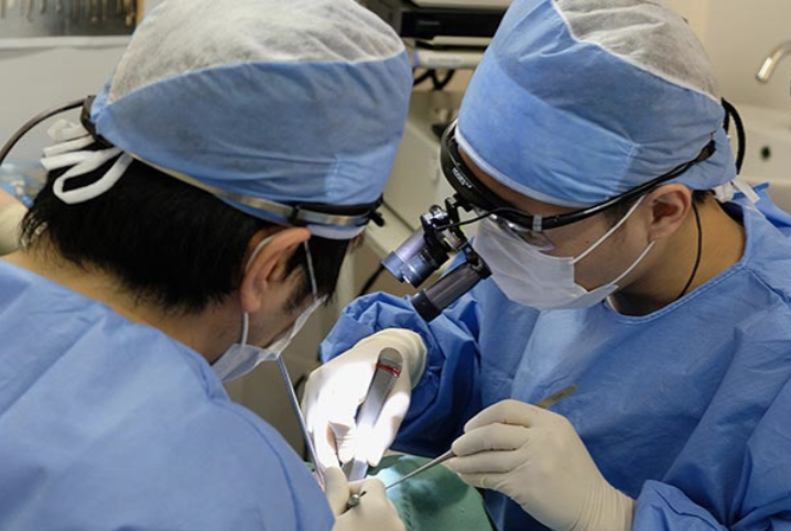 インプラント治療の様子