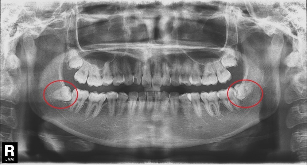 精密な検査機器とレーザー機器を活用し、安全性と負担軽減を重視した診療を行っています。
