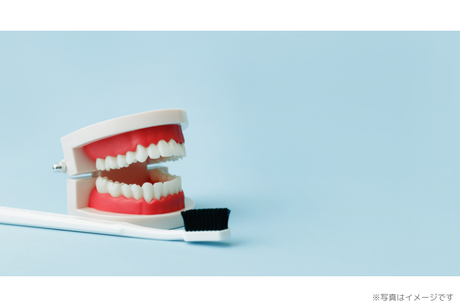 ※画像はイメージです