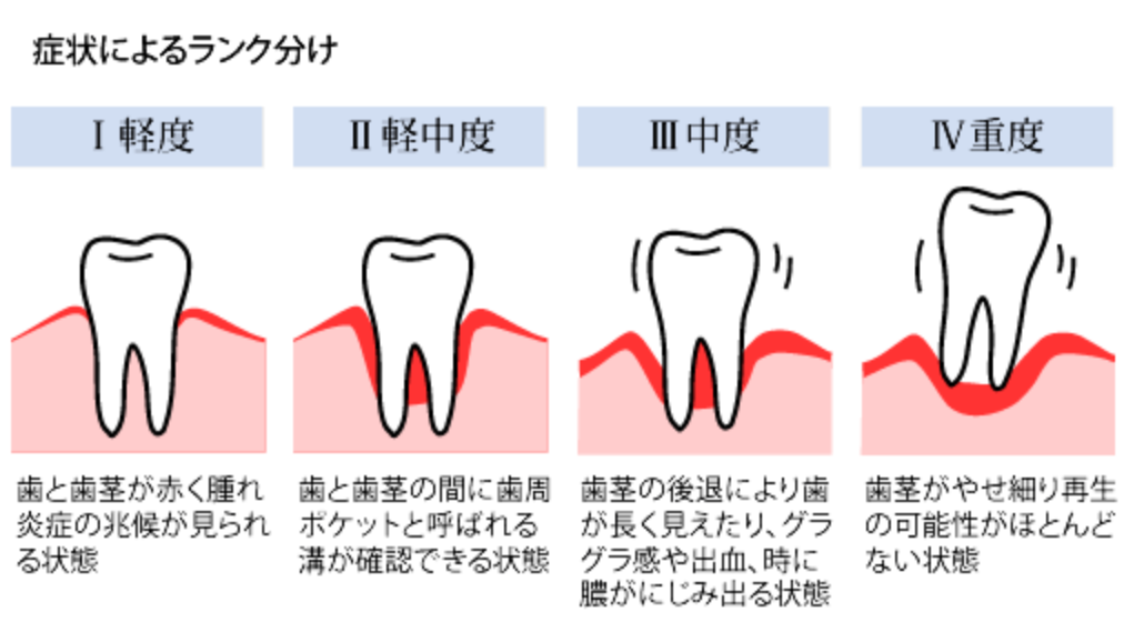 歯の健康を守るために丁寧な診療を提供しています