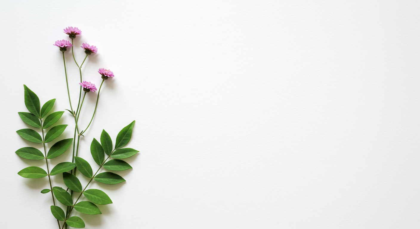 説明と同意で安心の歯科治療