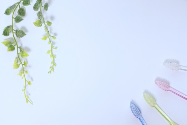 写真はイメージです