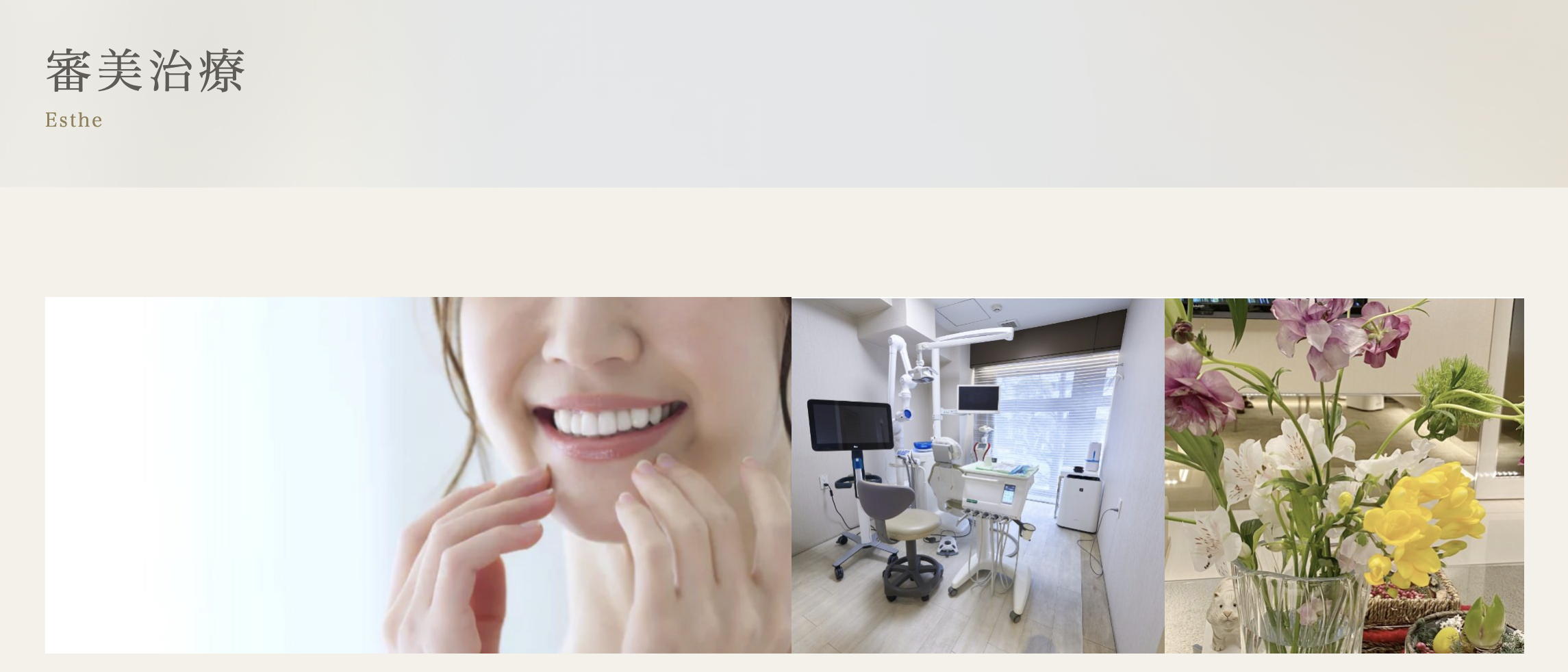 審美治療を通じて、機能性と審美性を兼ね備えた健康的な口元を提供しています