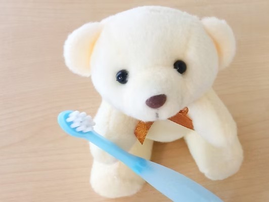 歯周病対策には普段の歯磨きも欠かせません。