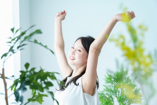 ※画像はイメージです。